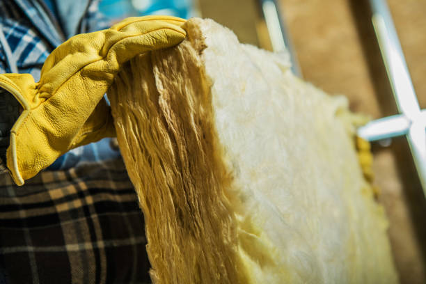 Best Insulation for New Construction  in Gardnerville Ranchos, NV